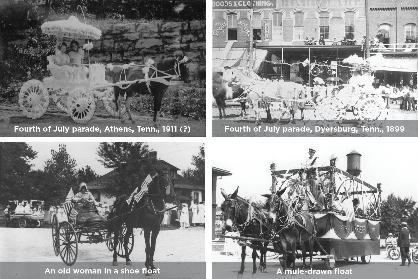 Several horse-drawn buggies decorated for a Fourth of July parade, circa 1890s to 1910s
