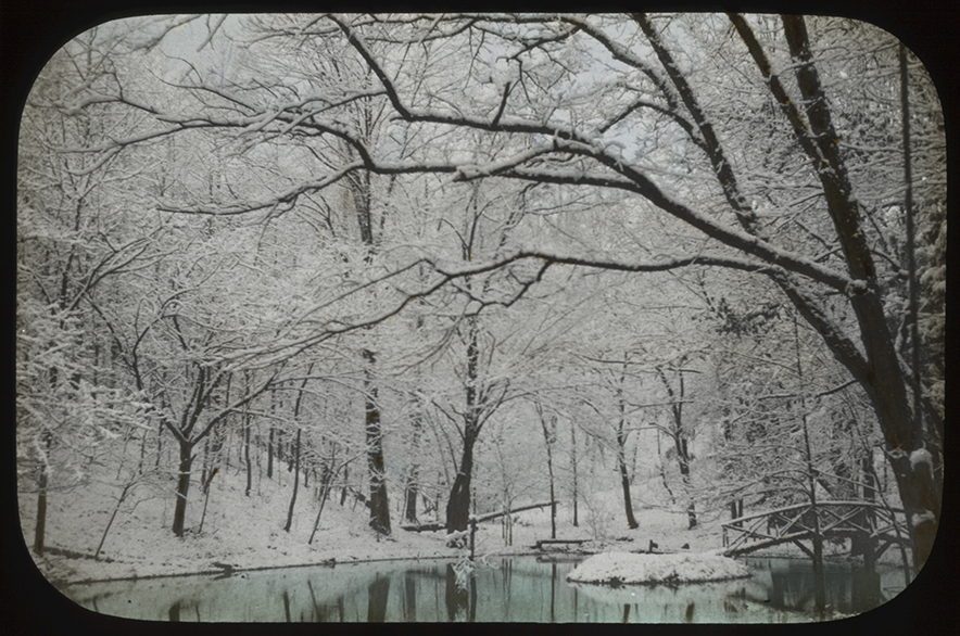 Spring-fed pond on the Ijams homesite