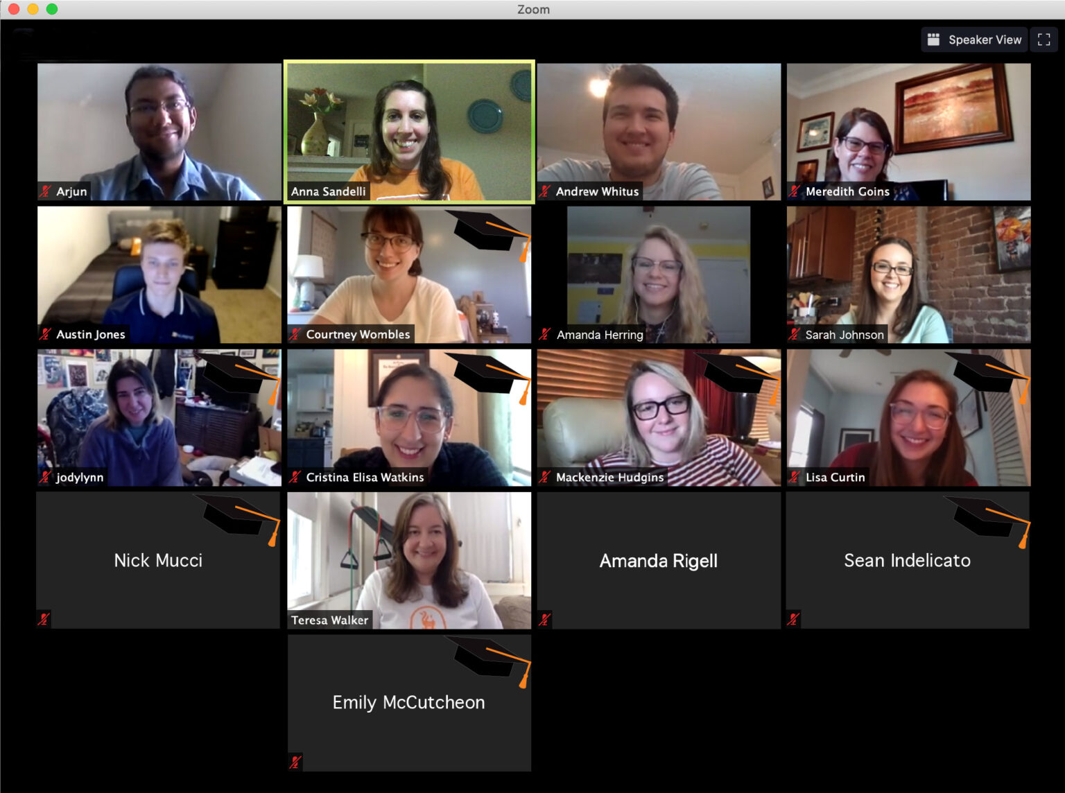 screenshot of Dean's Student Advisory Committee in a Zoom meeting