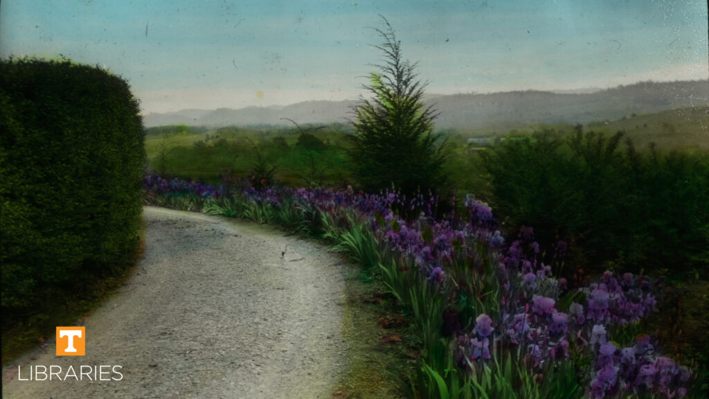 Knox Garden – Special Collections