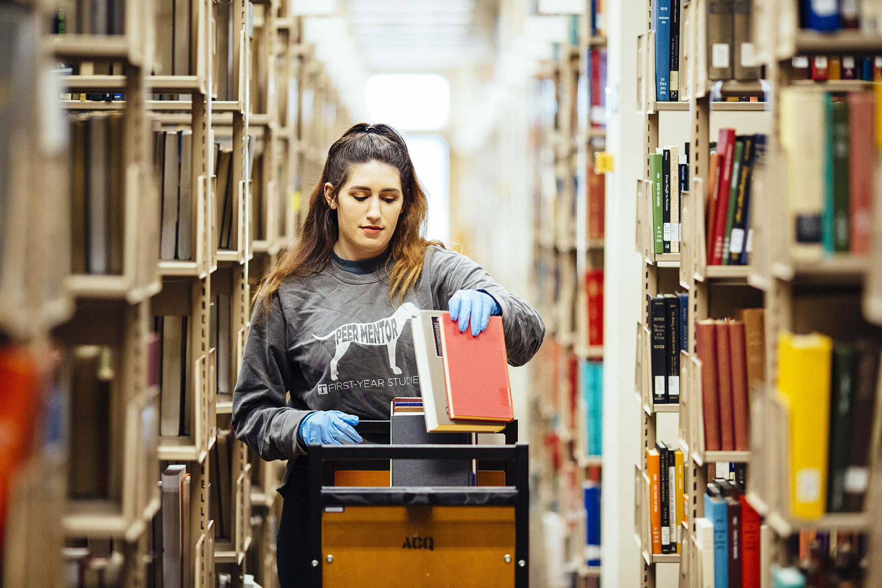 Student library assistant reshelving books