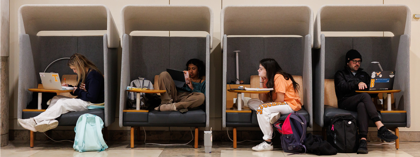 Students studying in the Libraries' "pods"