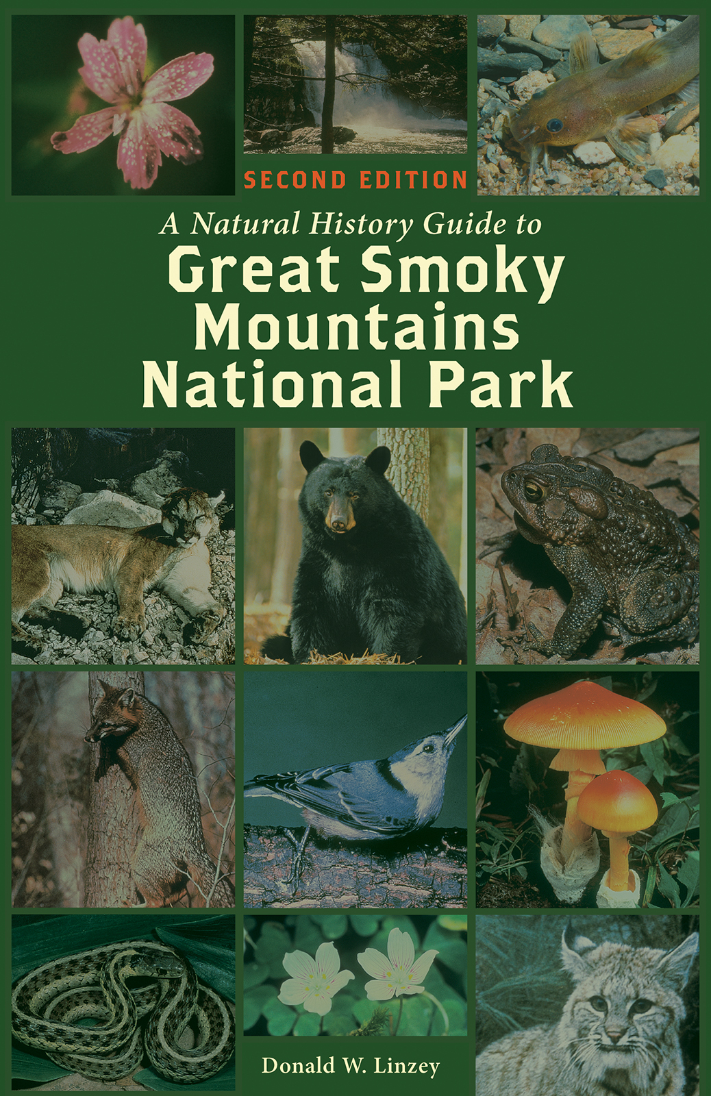book jacket: A Natural History Guide to Great Smoky Mountains National Park. Cover pictures various plant and animal species.