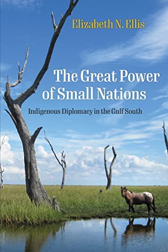 Book cover for The Great Power of Small Nations: Indigenous Diplomacy in the Gulf South