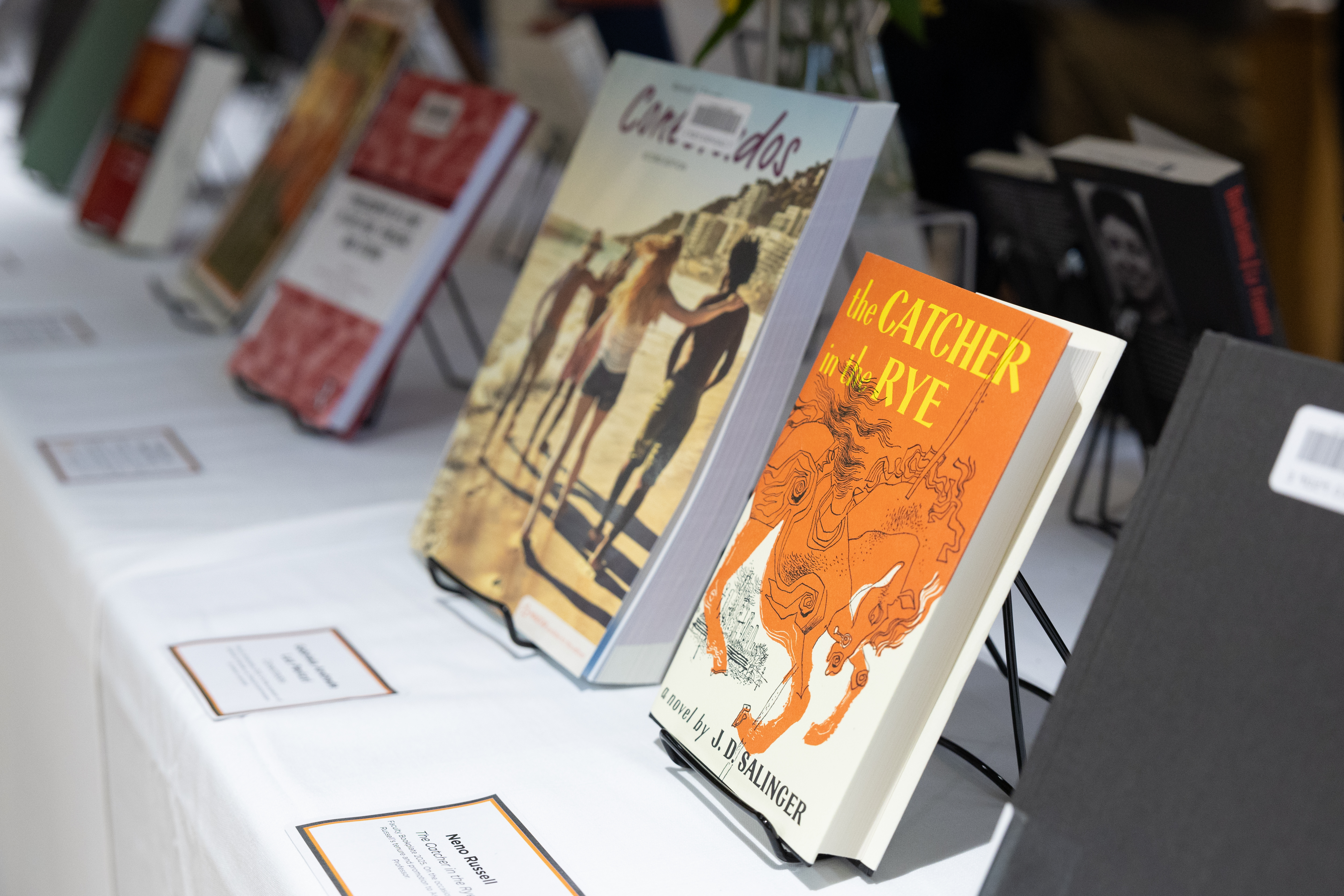 Book Display image